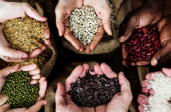 Grains