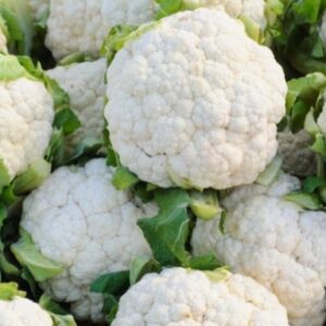 Cauliflower (फुलकोबी)
