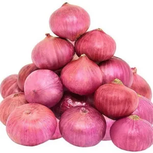 Onion (कांदा)