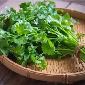 Coriander Leaves