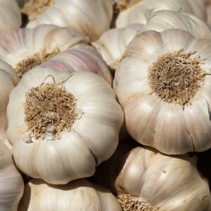 Garlic (लसूण)