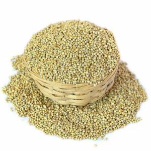Bajra