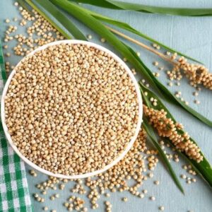 Sorghum (ज्वारी)
