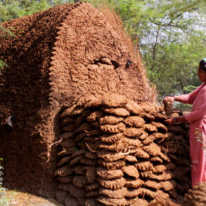 Dung Gavrai (गोबर गवराई)