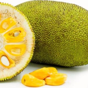Jackfruit / फणस