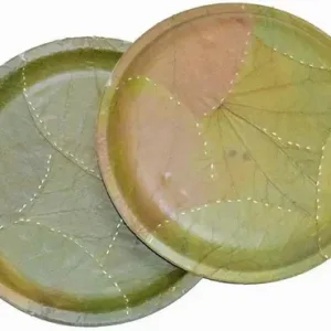 Gramrit Leaf Plate